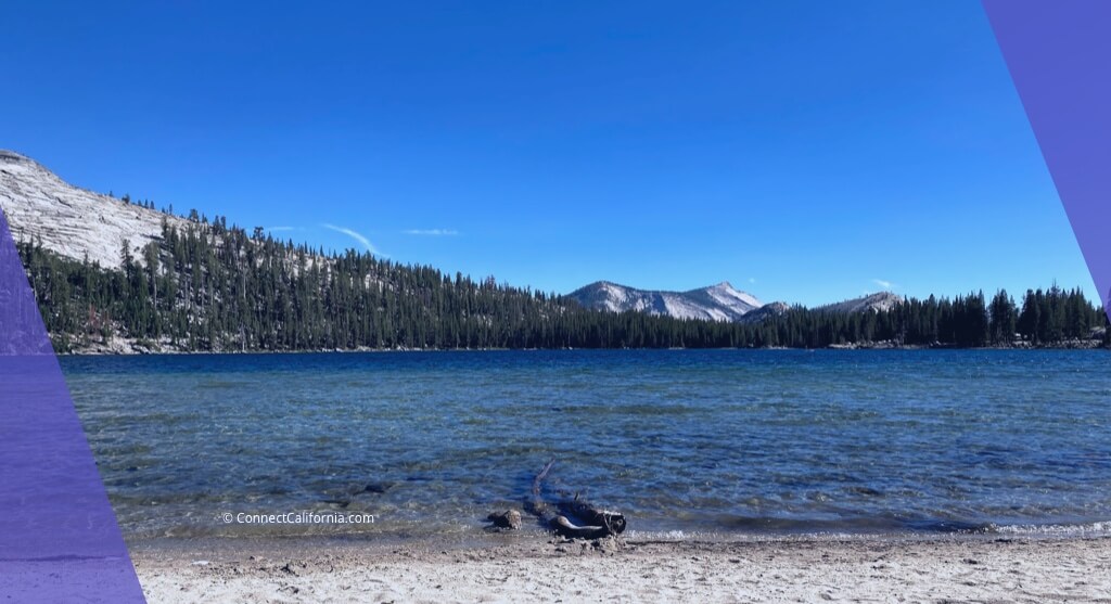 Photo of Yosemite tourist area.